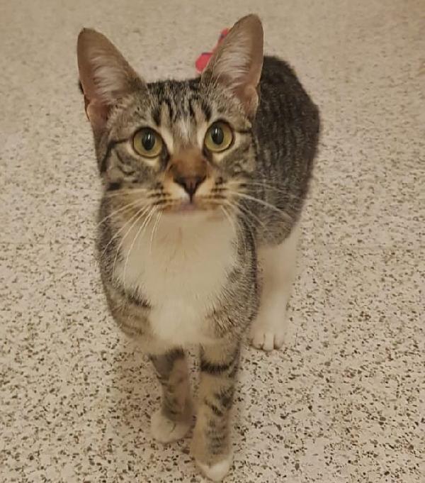 Tiziana, Tizia Simpatica E Curiosa